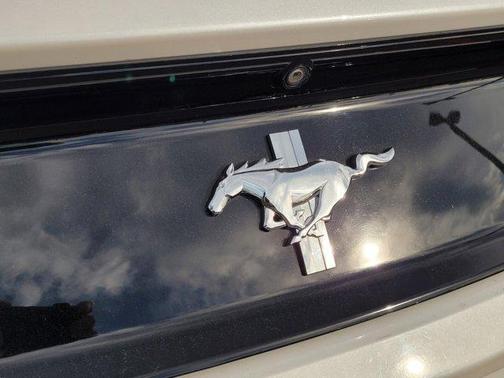 2017 Ford Mustang V6