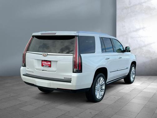 2017 Cadillac Escalade Platinum