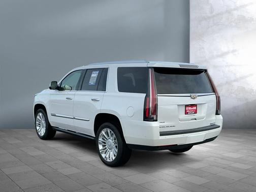 2017 Cadillac Escalade Platinum