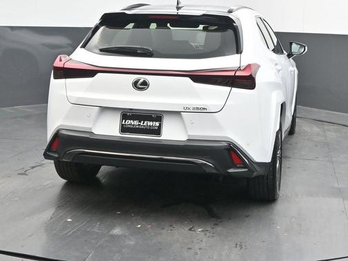 2024 Lexus UX 250h F SPORT Design