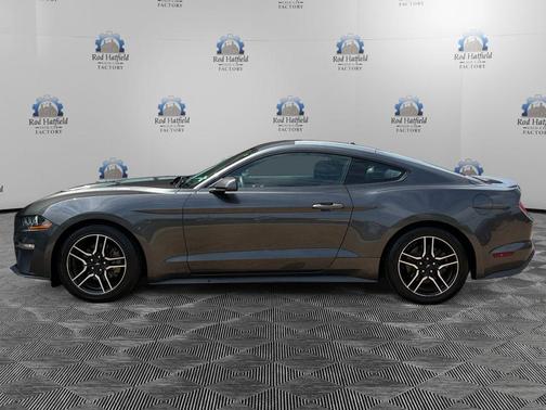 Magnetic 2019 Ford Mustang EcoBoost