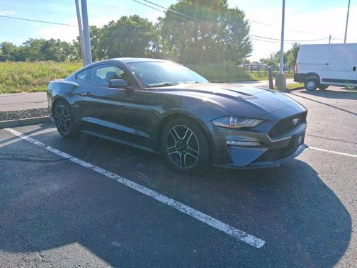 Magnetic 2019 Ford Mustang EcoBoost