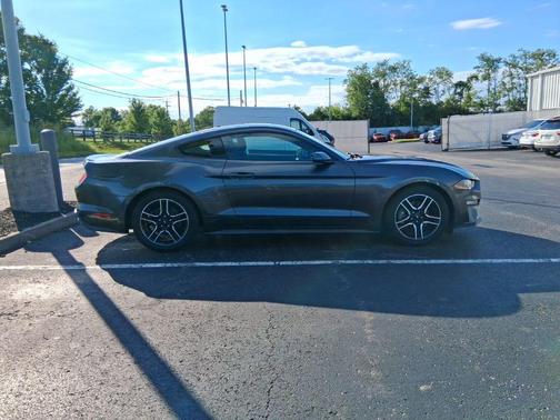 Magnetic 2019 Ford Mustang EcoBoost