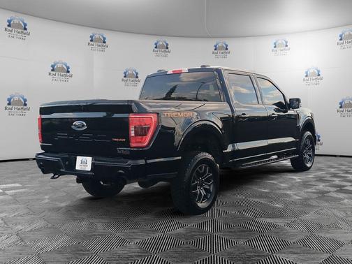 Agate Black Metallic 2023 Ford F-150 Tremor