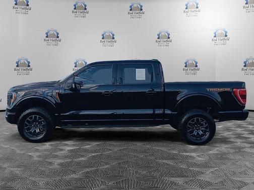 Agate Black Metallic 2023 Ford F-150 Tremor