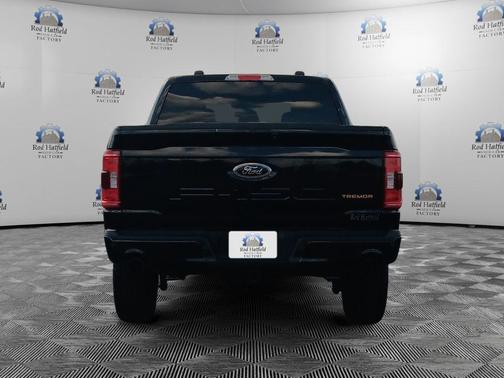 Agate Black Metallic 2023 Ford F-150 Tremor