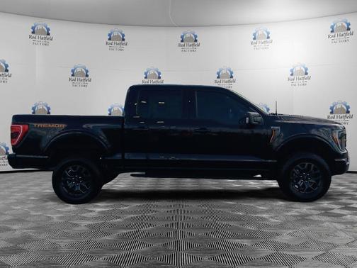 Agate Black Metallic 2023 Ford F-150 Tremor