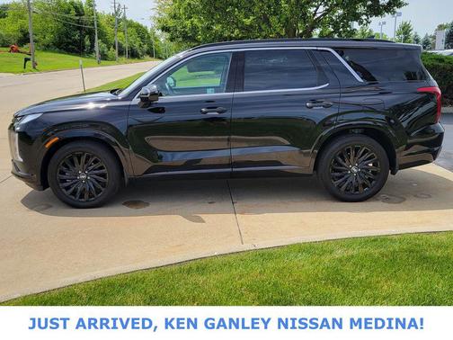 Abyss Black Pearl 2025 Hyundai PALISADE Calligraphy Night Edition