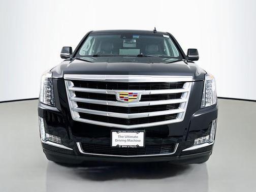 2019 Cadillac Escalade ESV Luxury