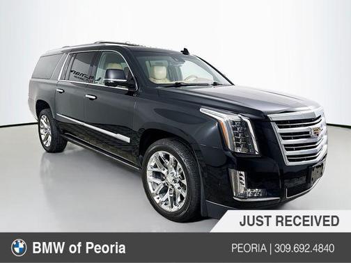 Black Raven 2019 Cadillac Escalade ESV Platinum