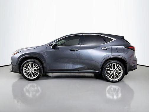 2025 Lexus NX 350h Premium