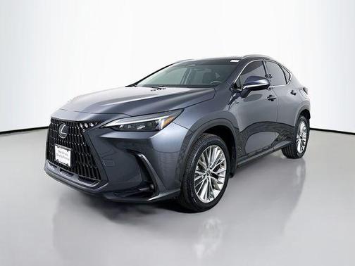 2025 Lexus NX 350h Premium