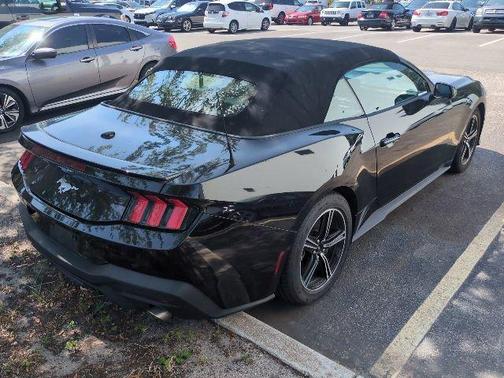 Shadow Black 2024 Ford Mustang EcoBoost Premium