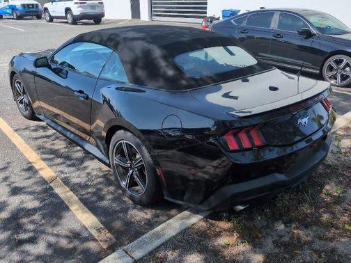 Shadow Black 2024 Ford Mustang EcoBoost Premium