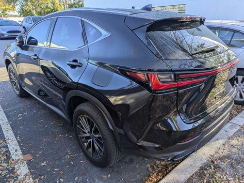 2025 Lexus NX 250 Premium