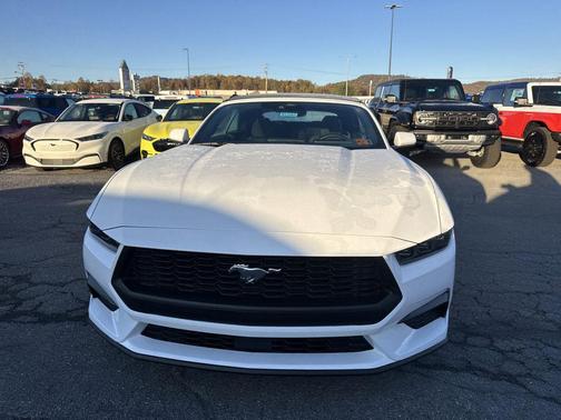 Oxford White 2026 Ford Mustang EcoBoost
