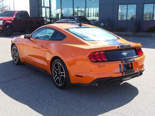 2021 Ford Mustang EcoBoost