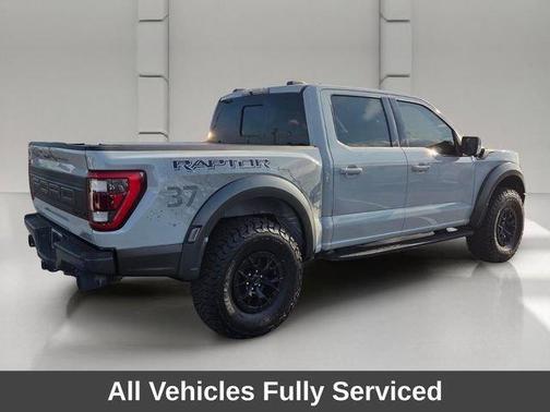Avalanche 2023 Ford F-150 Raptor
