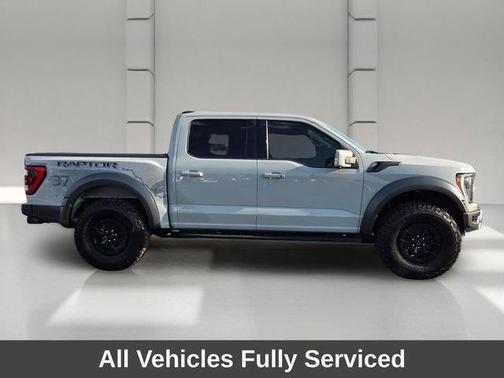 Avalanche 2023 Ford F-150 Raptor