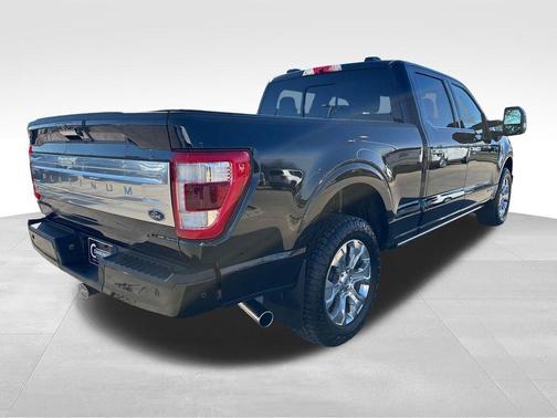 Black 2022 Ford F-150 Platinum