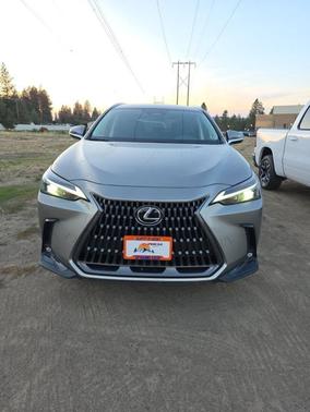 2024 Lexus NX 250 Base