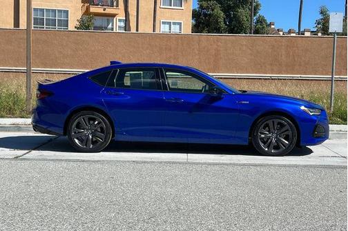 Apex Blue Pearl 2023 Acura TLX A-Spec