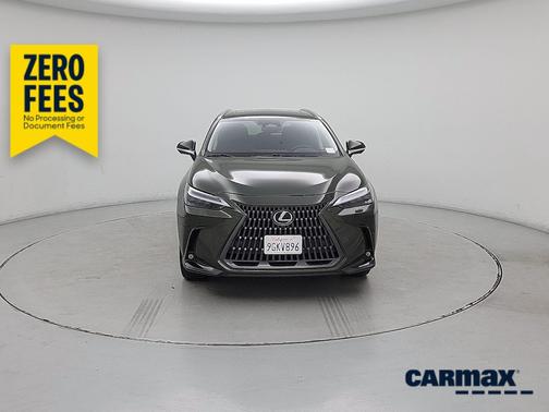 Green 2024 Lexus NX 450h+ Luxury