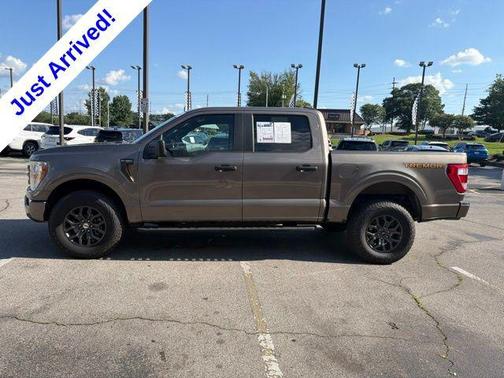 STONE GRAY METALLIC 2022 Ford F-150 Tremor