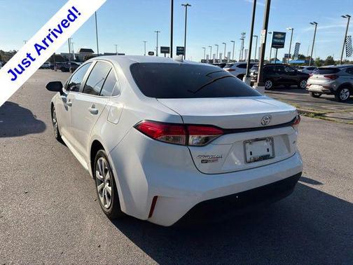 Ice Cap 2024 Toyota Corolla LE
