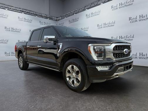 2021 Ford F-150 Platinum