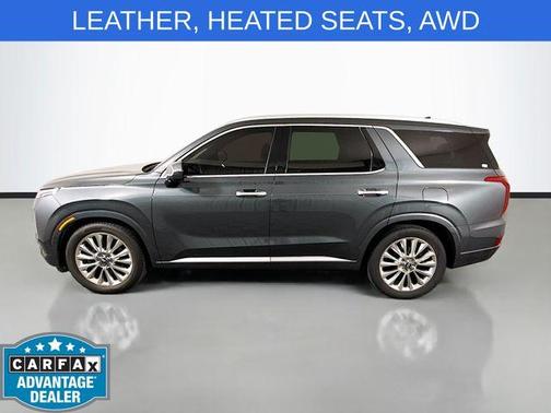 Rainforest 2020 Hyundai PALISADE Limited