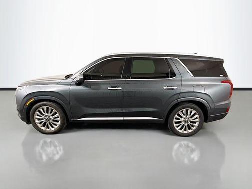Rainforest 2020 Hyundai PALISADE Limited