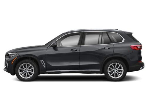 Arctic Gray Metallic 2021 BMW X5 xDrive40i