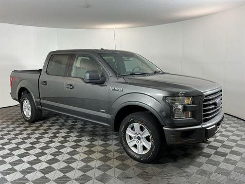 Magnetic 2016 Ford F-150 XLT