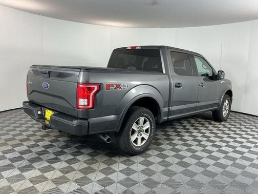 Magnetic 2016 Ford F-150 XLT
