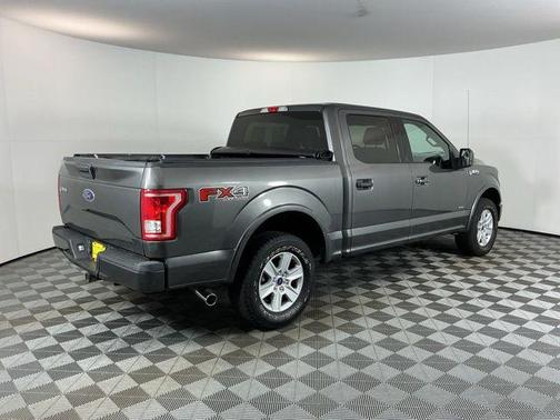 Magnetic 2016 Ford F-150 XLT