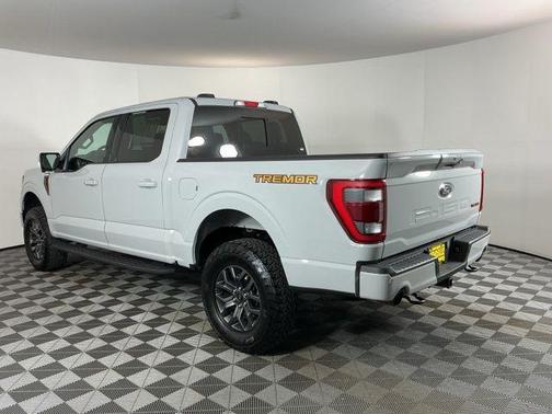 Avalanche 2023 Ford F-150 Tremor
