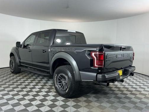 Agate Black Metallic 2020 Ford F-150 Raptor