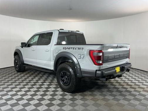 Avalanche 2023 Ford F-150 Raptor
