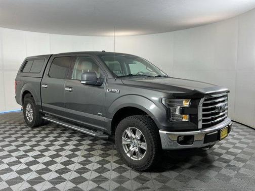 Magnetic 2016 Ford F-150 XLT