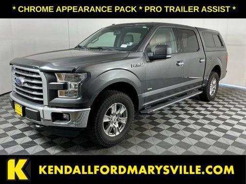 Magnetic 2016 Ford F-150 XLT