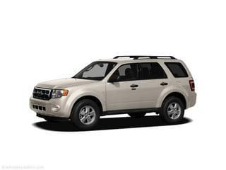 White Suede 2011 Ford Escape XLT