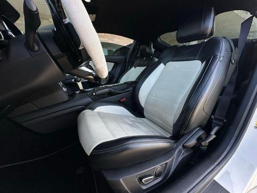 2015 Ford Mustang GT 50 Years Limited Edition