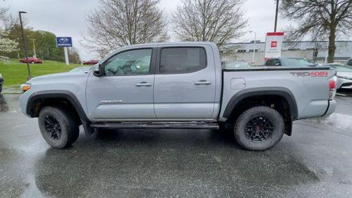 Cement 2020 Toyota Tacoma TRD Off Road