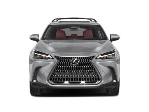 White 2024 Lexus NX 350 Premium