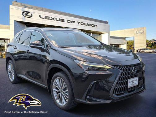 2025 Lexus NX 350 Luxury