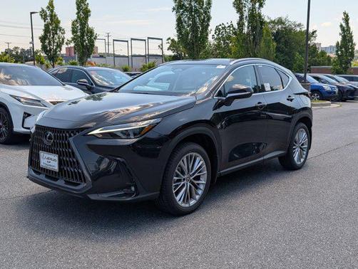 2025 Lexus NX 350 Luxury