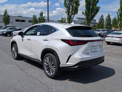2025 Lexus NX 350 Luxury