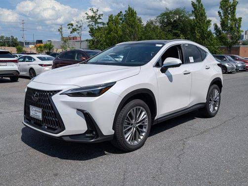 2025 Lexus NX 350 Luxury