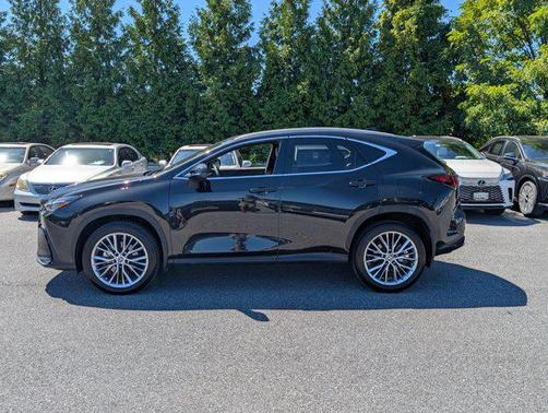 2023 Lexus NX 350 Luxury